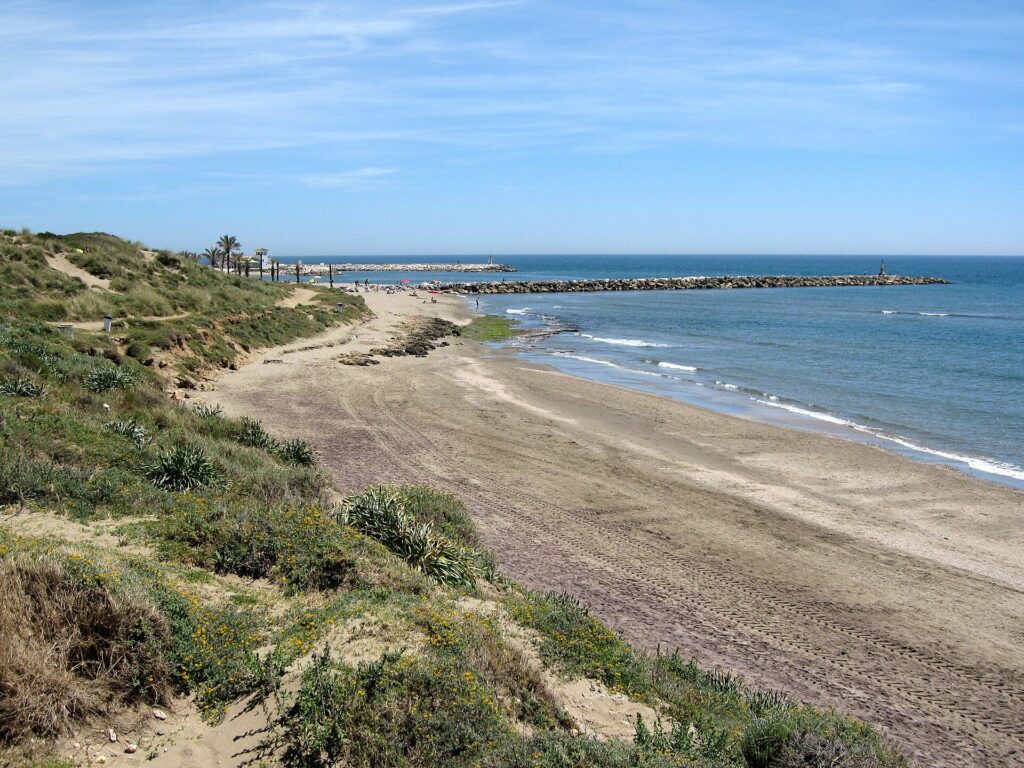 Elviria