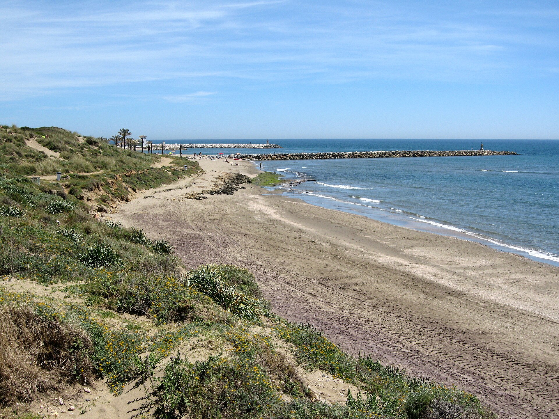 Elviria