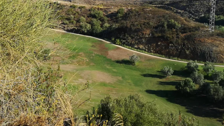 Fairway curving below a wooded slope, framed by dry grasses
